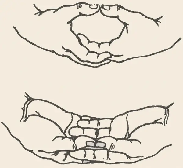 Two drawings showing the meditation mudra hand position